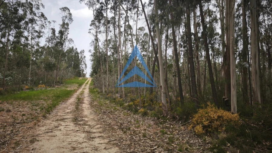 Terreno para Venda em Redinha Foto 4