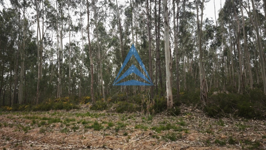 Terreno para Venda em Redinha Foto 3