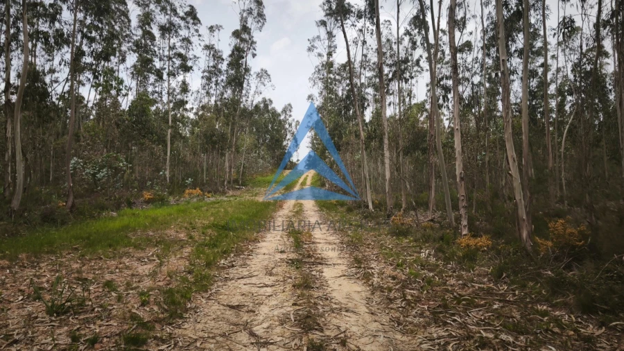 Terreno para Venda em Redinha
