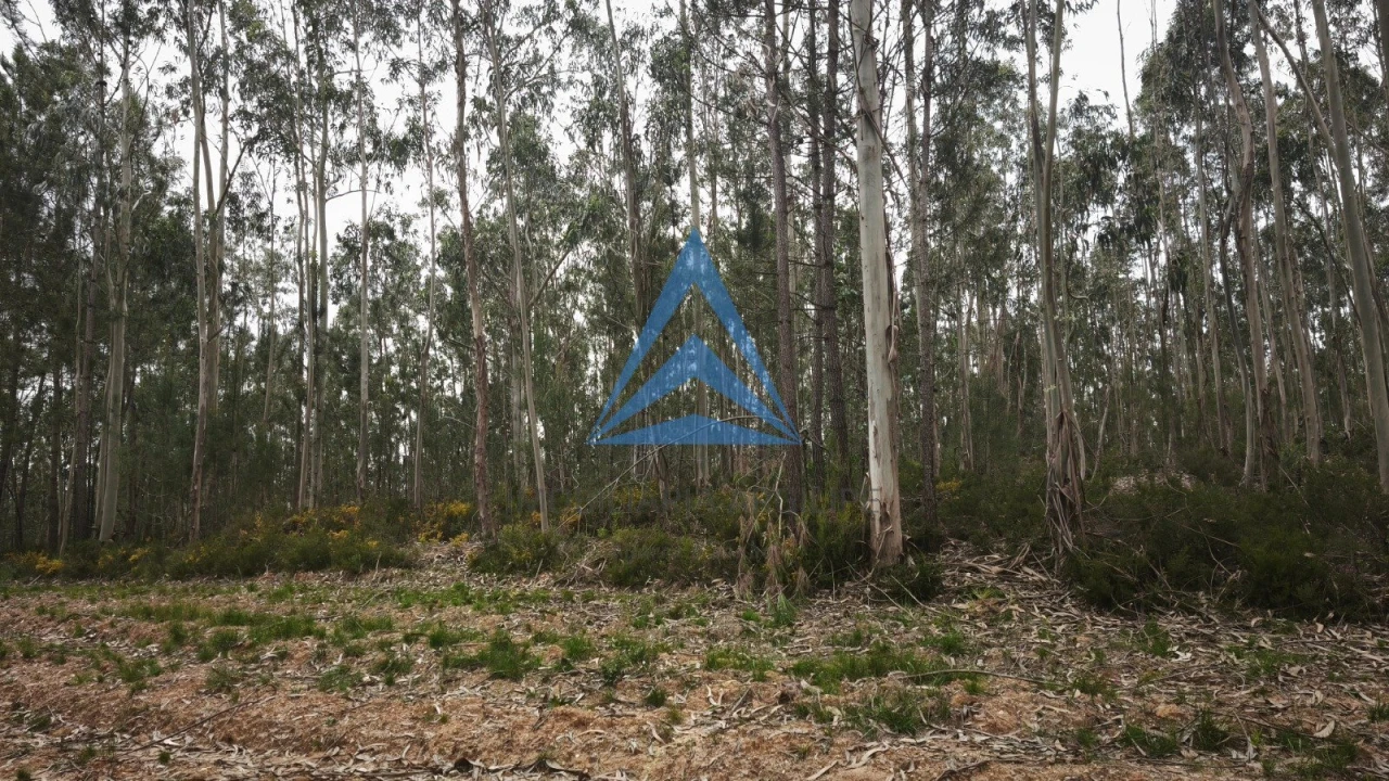 Terreno para Venda em Redinha Foto 3