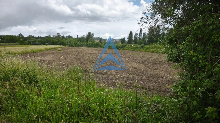 Terreno para Venda em Redinha