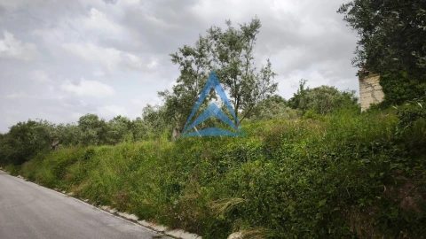 Terreno para Venda em Redinha