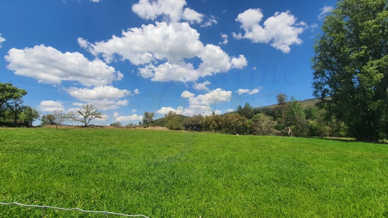 Quinta T2 para Venda em São Salvador da Aramenha Foto 29