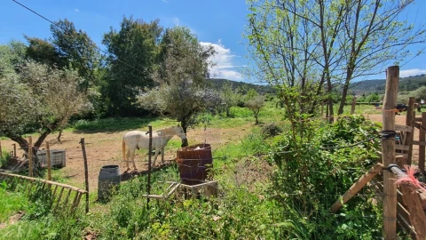 Quinta T2 para Venda em São Salvador da Aramenha