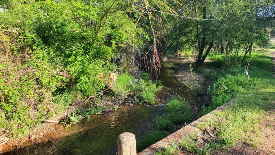 Quinta T2 para Venda em São Salvador da Aramenha Foto 32