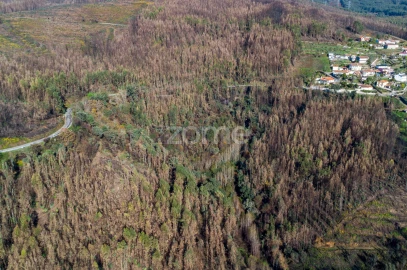Moradia T2 para Venda em Nespereira