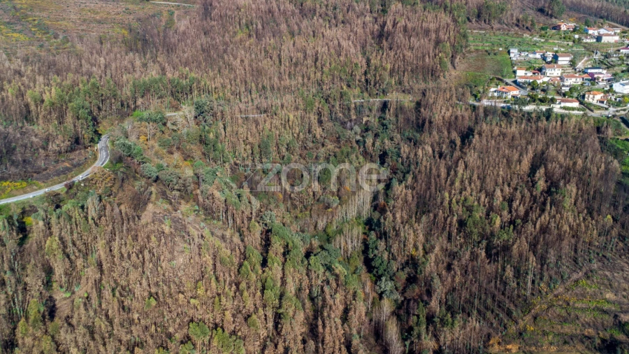 Moradia T2 para Venda em Nespereira