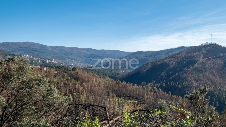 Moradia T2 para Venda em Nespereira
