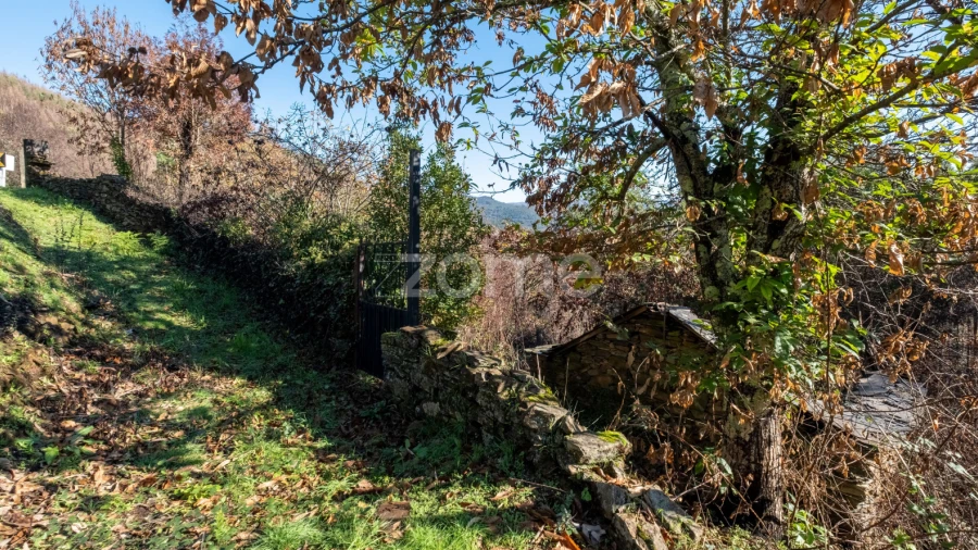 Moradia T2 para Venda em Nespereira