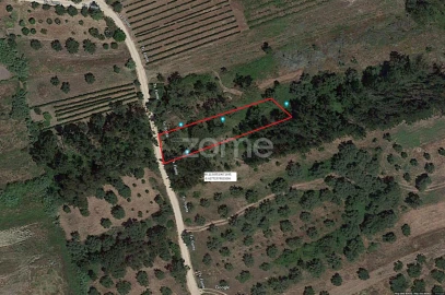 Terreno para Venda em Vila Nova de Anços