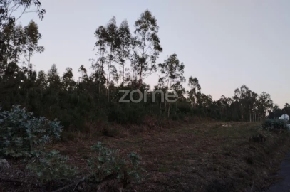 Terreno para Venda em Vila Nova de Anços