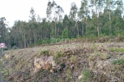 Terreno para Venda em Vila Nova de Anços