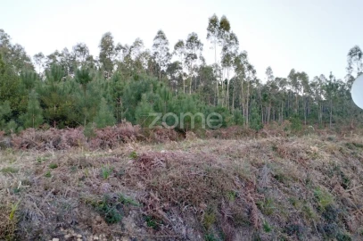 Terreno para Venda em Vila Nova de Anços
