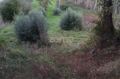 Terreno para Venda em Vila Nova de Anços