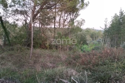 Terreno para Venda em Vila Nova de Anços