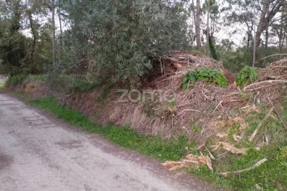Terreno para Venda em Vila Nova de Anços