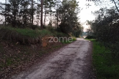 Terreno para Venda em Vila Nova de Anços
