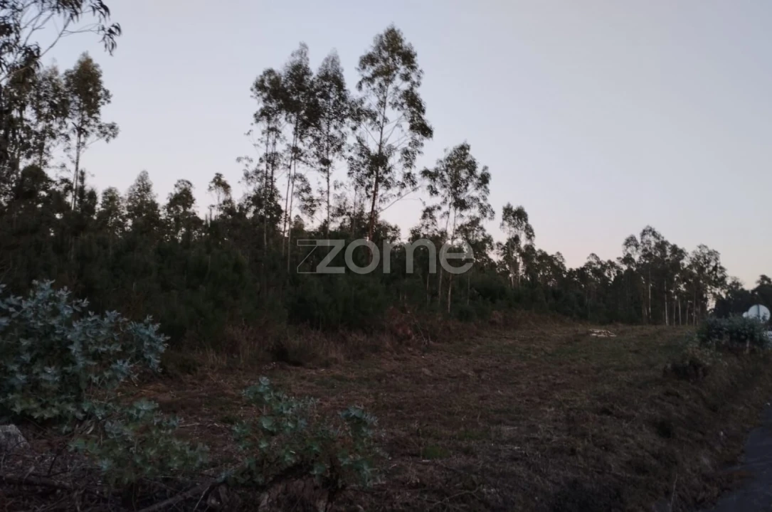 Terreno para Venda em Vila Nova de Anços Foto 11