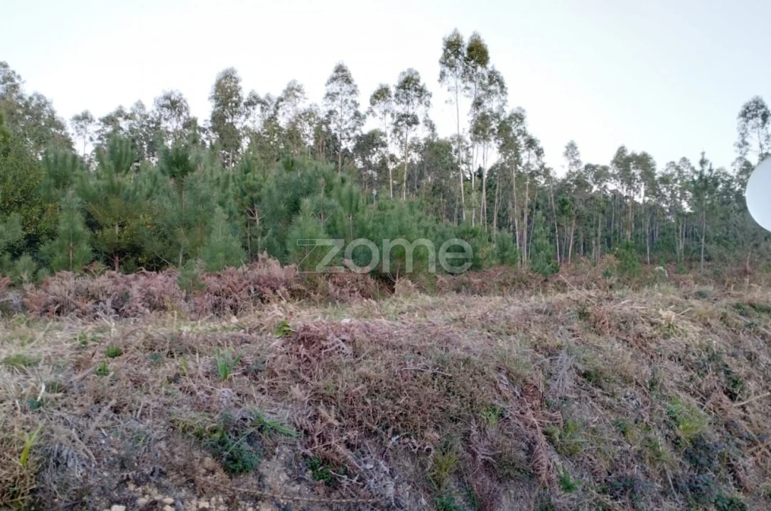 Terreno para Venda em Vila Nova de Anços Foto 7
