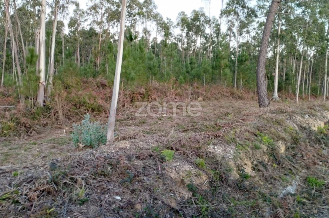 Terreno para Venda em Vila Nova de Anços Foto 8