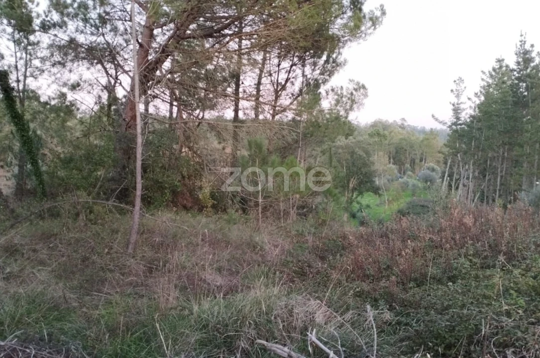 Terreno para Venda em Vila Nova de Anços Foto 5
