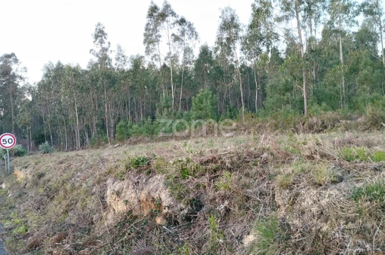 Terreno para Venda em Vila Nova de Anços Foto 9