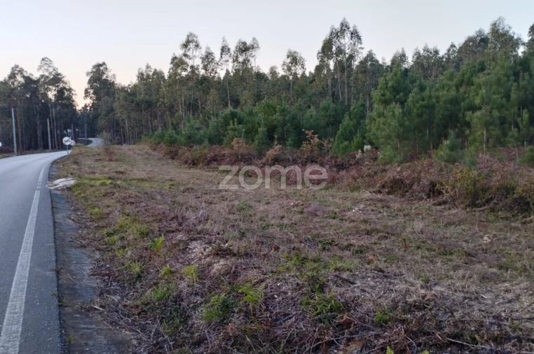 Terreno para Venda em Vila Nova de Anços Foto 10