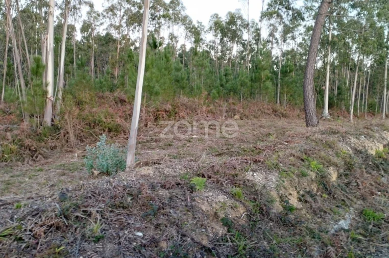Terreno para Venda em Vila Nova de Anços Foto 8
