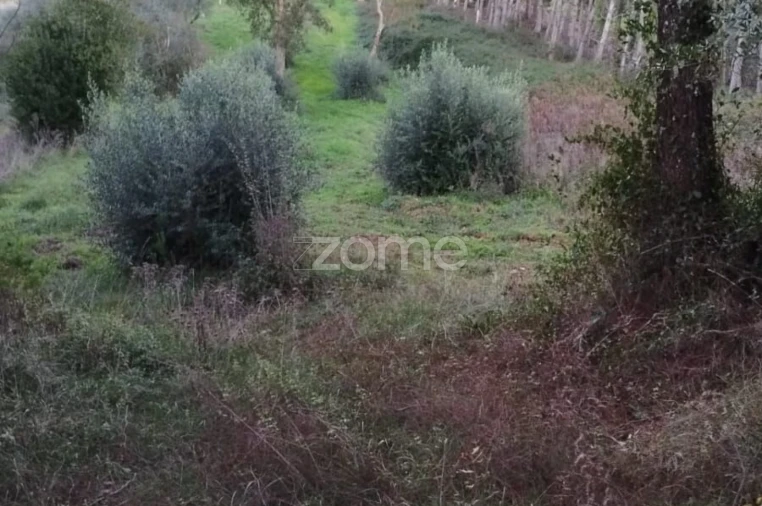 Terreno para Venda em Vila Nova de Anços Foto 3