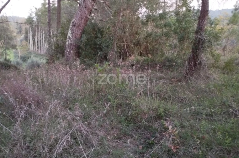 Terreno para Venda em Vila Nova de Anços Foto 4