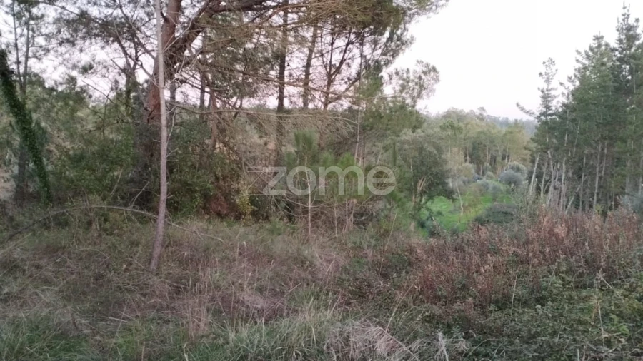 Terreno para Venda em Vila Nova de Anços