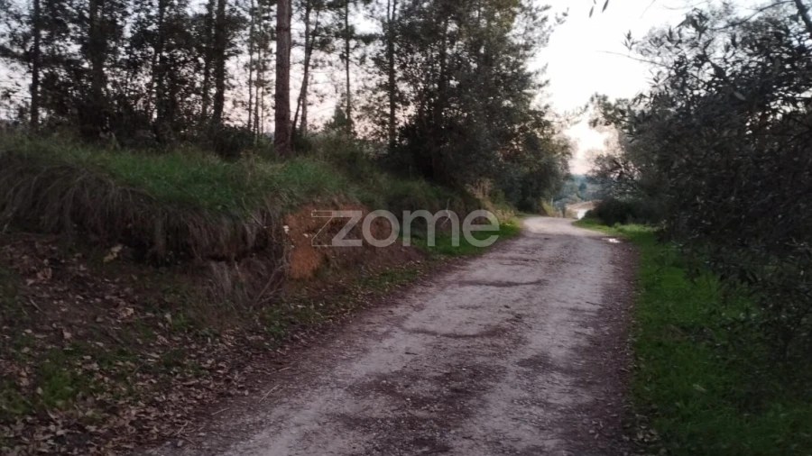 Terreno para Venda em Vila Nova de Anços