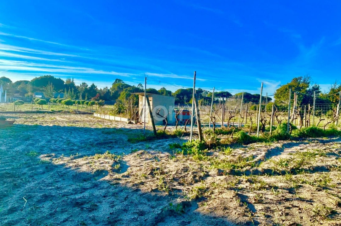 Quinta T4 para Venda em Grândola e Santa Margarida da Serra Foto 34