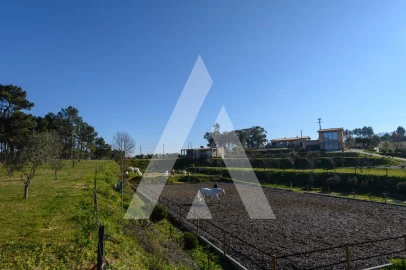 Quinta T6 para Venda em Ferro