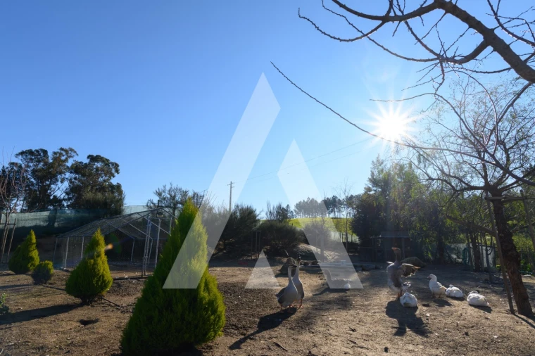 Quinta T6 para Venda em Ferro Foto 3