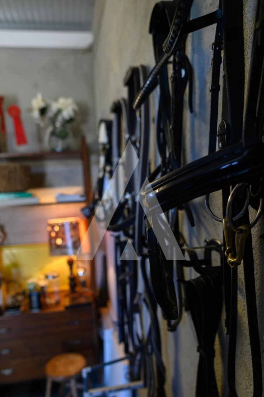 Quinta T6 para Venda em Ferro Foto 4