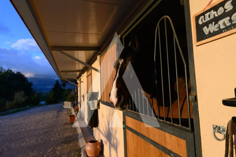 Quinta T6 para Venda em Ferro Foto 12