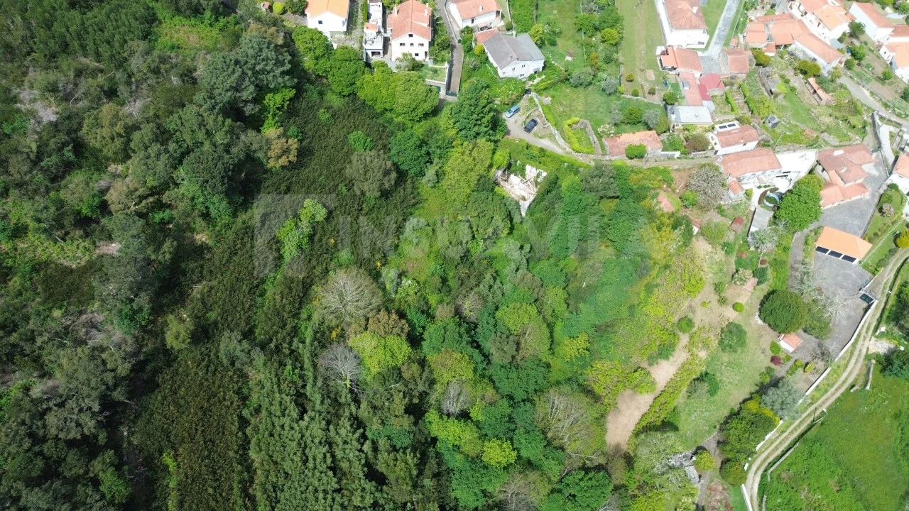 Moradia T1 para Venda em Caminha (Matriz) e Vilarelho Foto 4