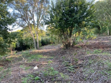 Moradia T1 para Venda em Caminha (Matriz) e Vilarelho