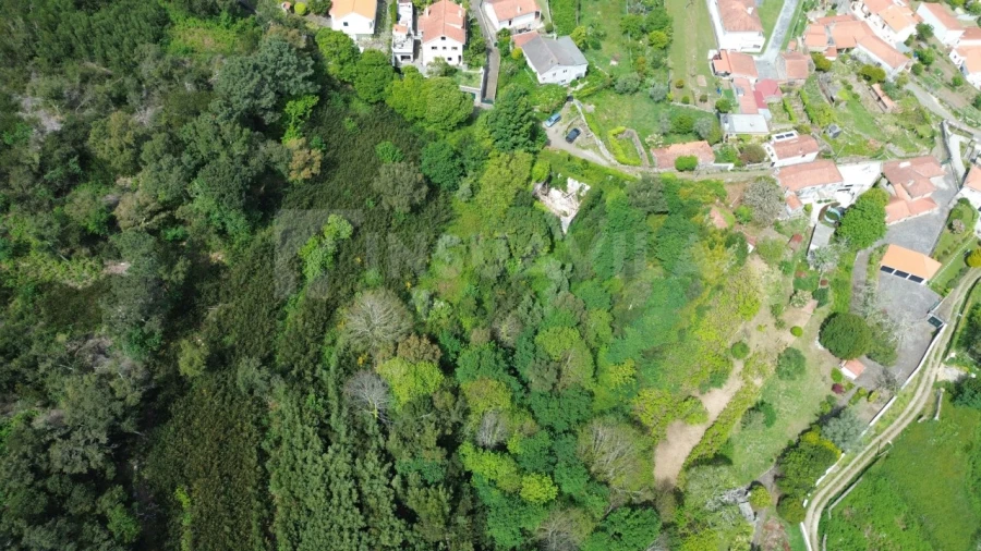 Moradia T1 para Venda em Caminha (Matriz) e Vilarelho Foto 4