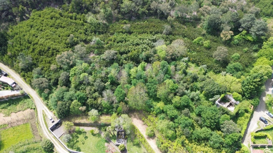 Moradia T1 para Venda em Caminha (Matriz) e Vilarelho Foto 5
