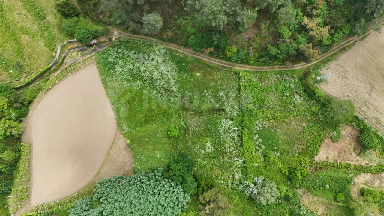 Terreno para Venda em Venade e Azevedo Foto 3