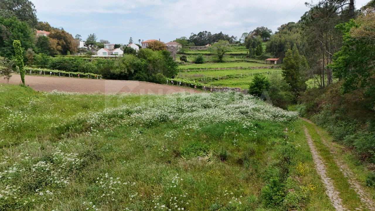 Terreno para Venda em Venade e Azevedo Foto 11