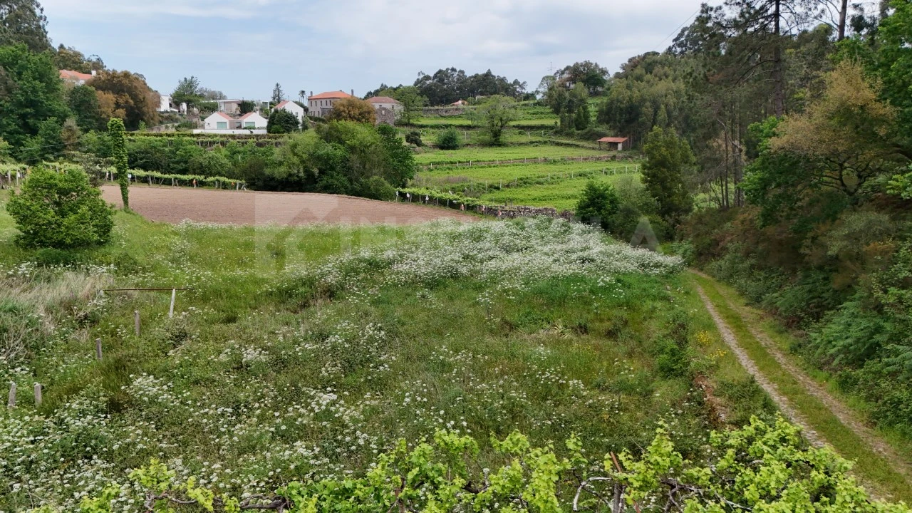 Terreno para Venda em Venade e Azevedo Foto 13
