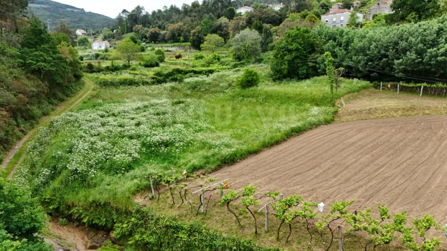 Terreno para Venda em Venade e Azevedo Foto 9