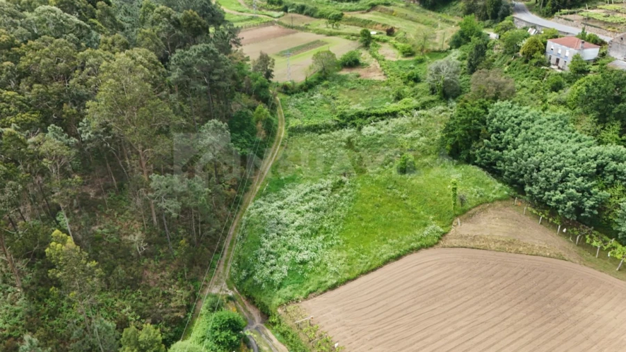 Terreno para Venda em Venade e Azevedo