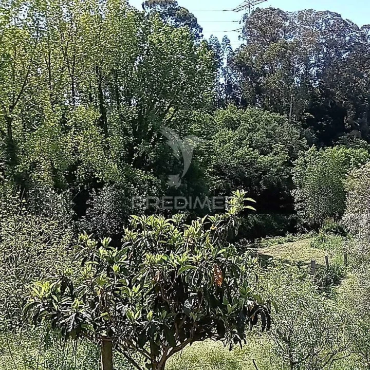 Moradia T3 para Venda em Baltar Foto 4