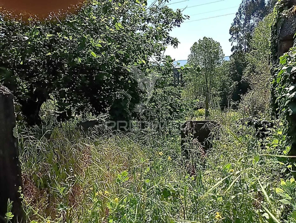 Moradia T3 para Venda em Baltar Foto 18