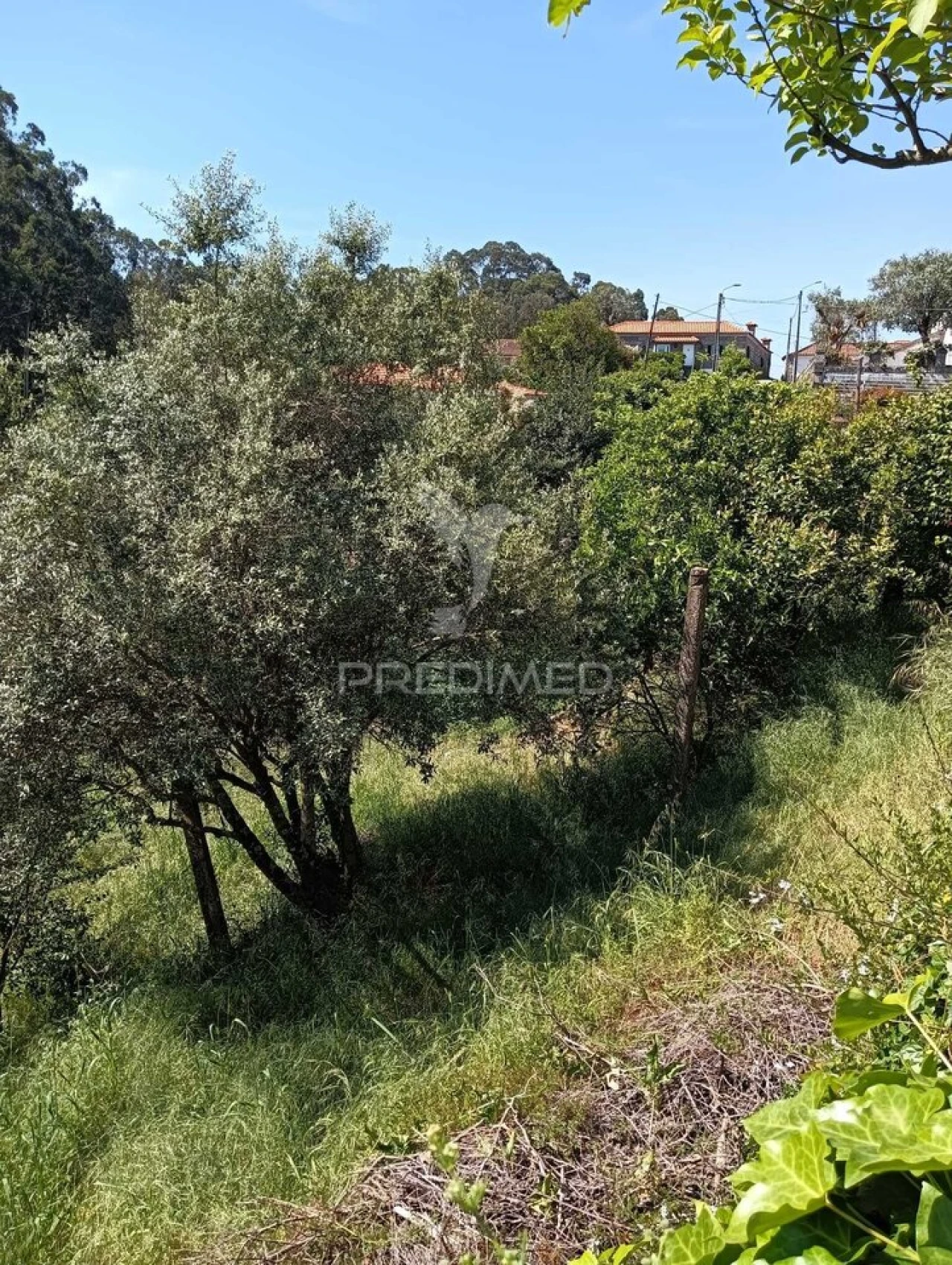 Moradia T3 para Venda em Baltar Foto 10