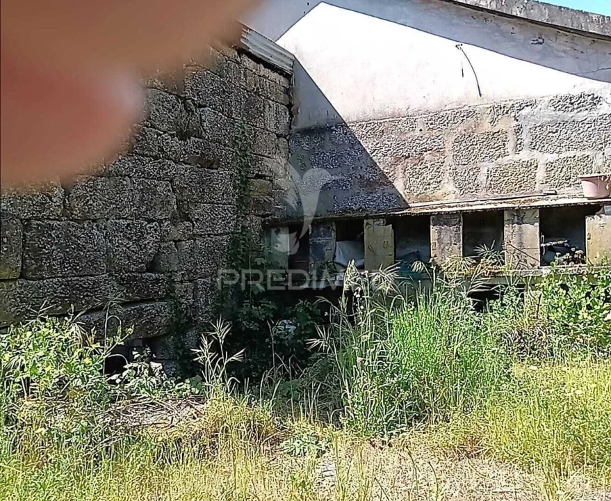 Moradia T3 para Venda em Baltar Foto 21